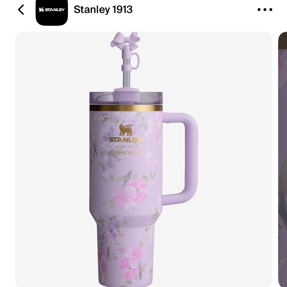 Love shack Fancy x Stanley